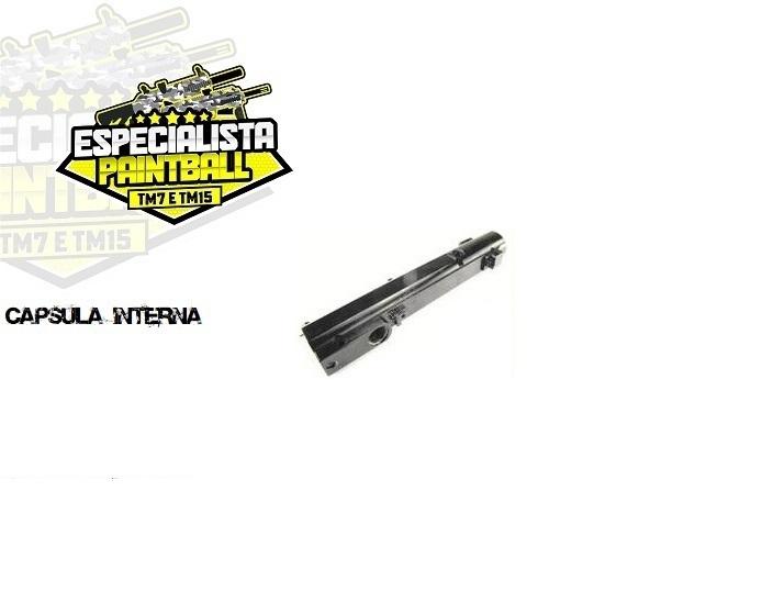Capsula interna